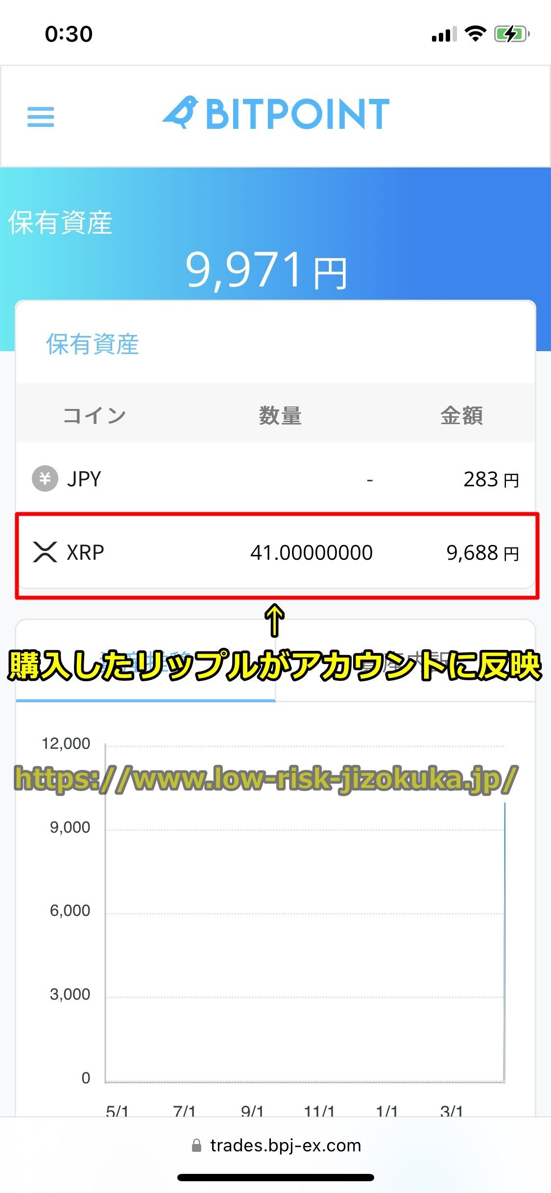 ビットポイント