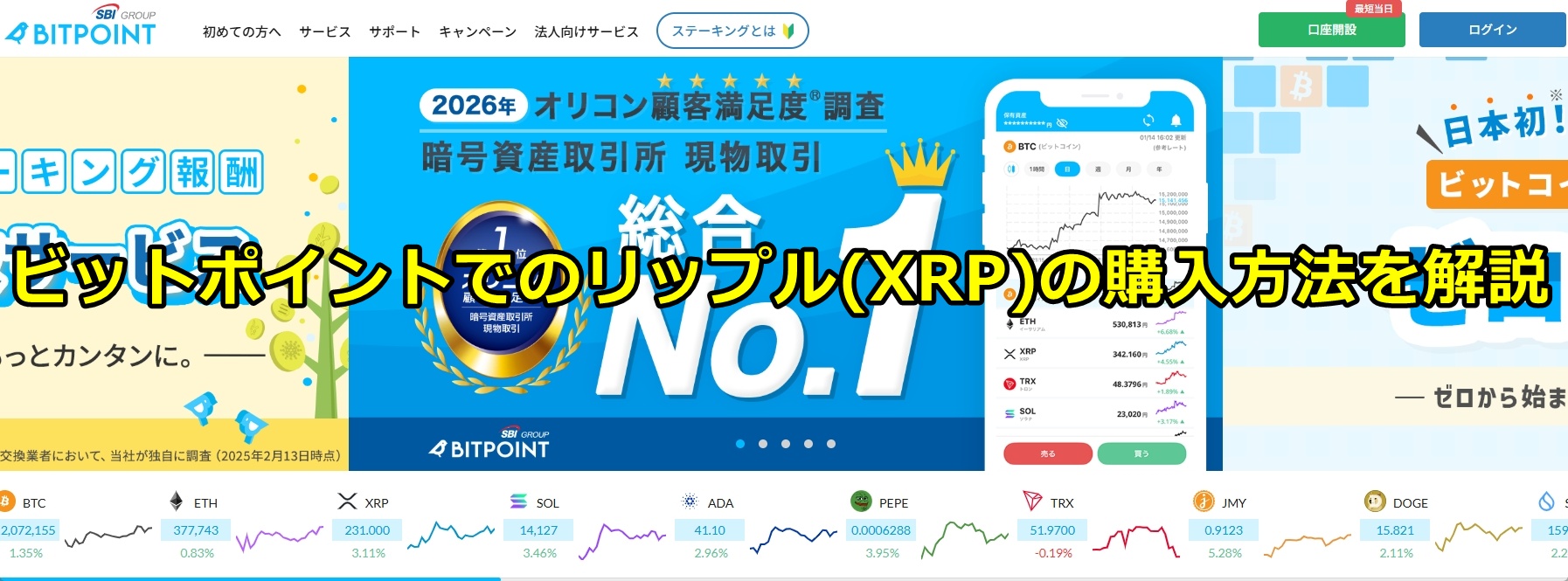 ビットポイント