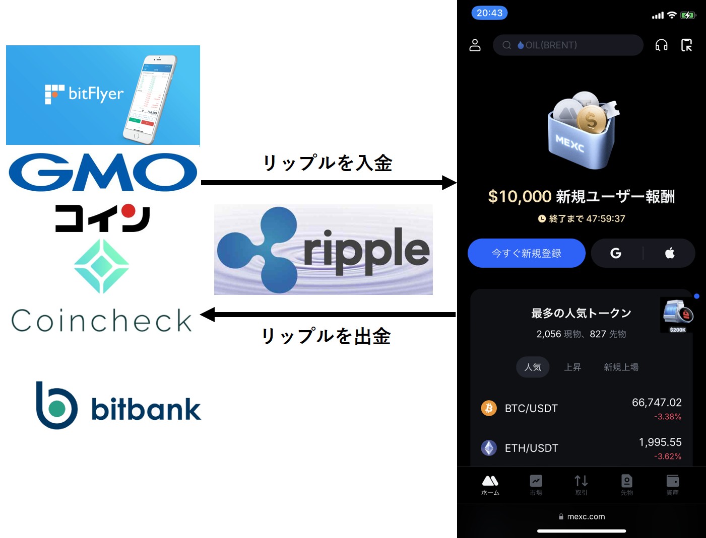 ビットポイント